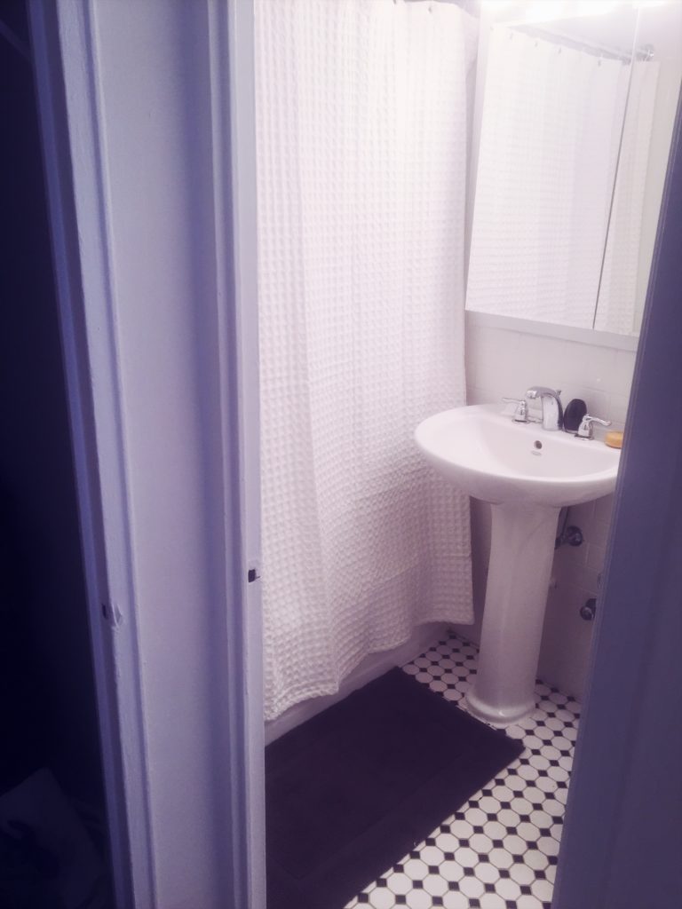 My NYC Studio Apartment Bathroom 