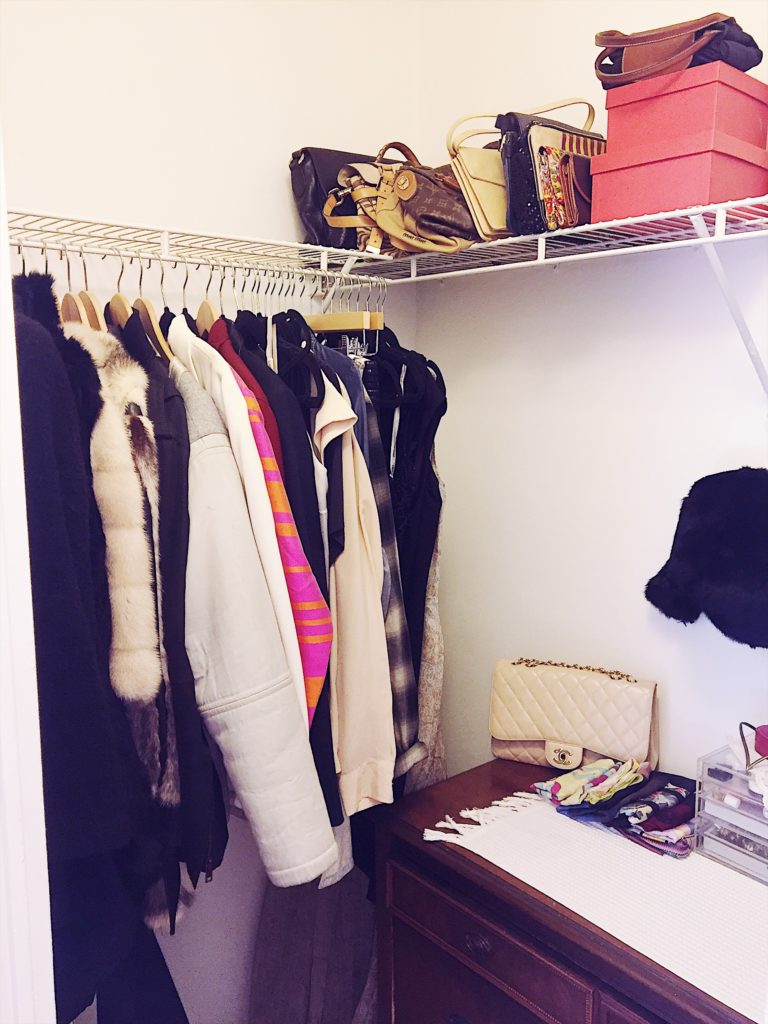 My NYC Studio Apartment Closet 3