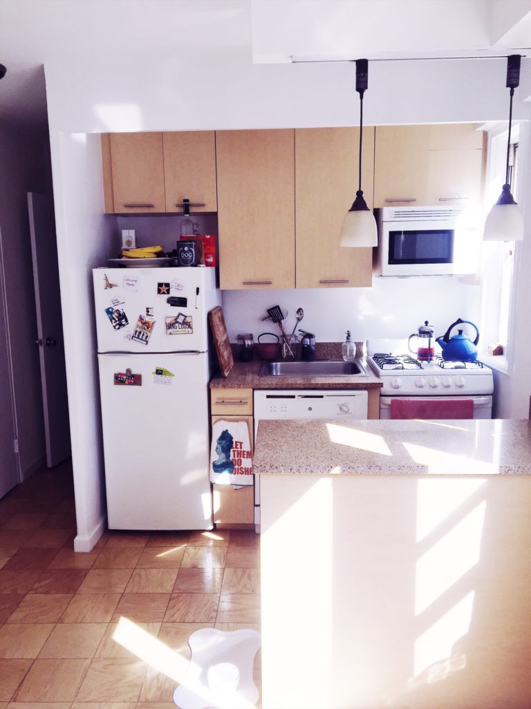 My NYC Studio Apartment Kitchen 