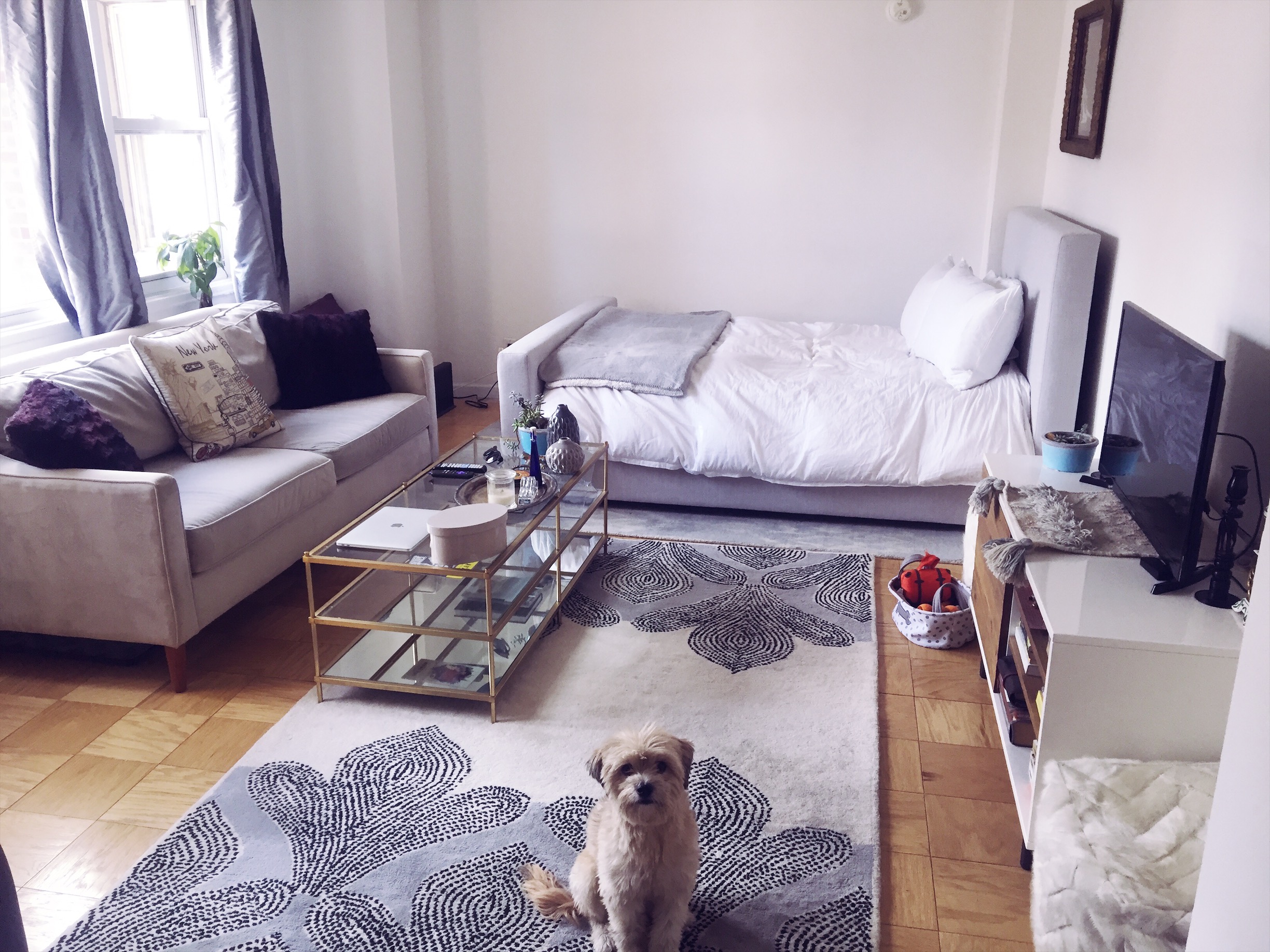 My NYC Apartment Tour - love thy pursuit