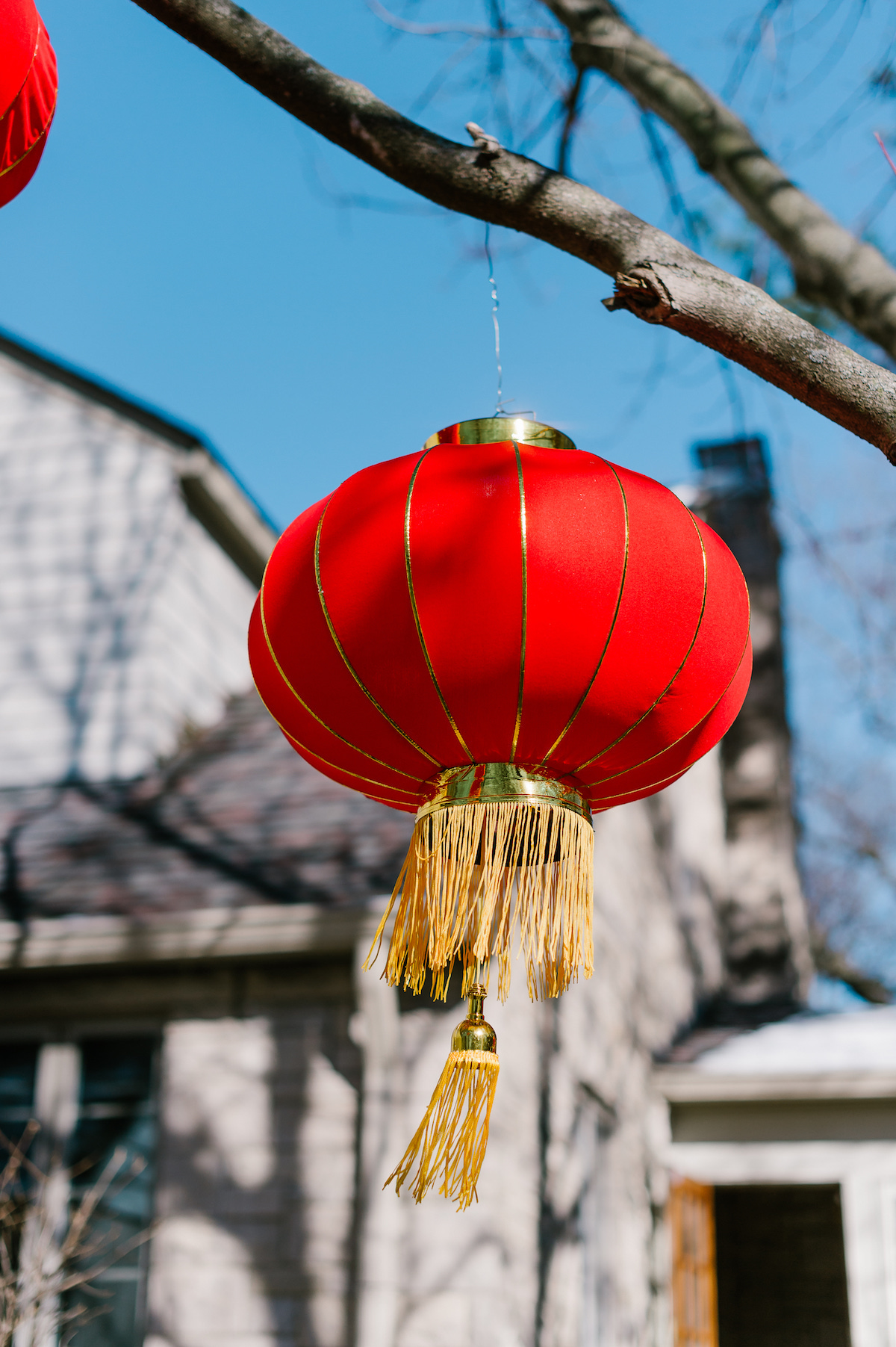 Chinese Lantern